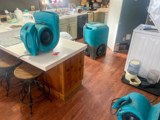 Best Carpet water damage restoration  in Amherst, OH
