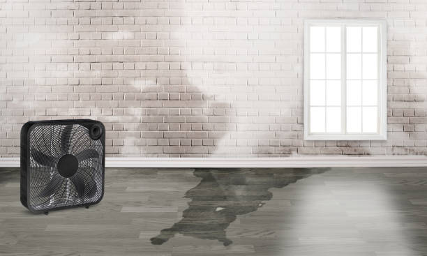 Best Residential water damage restoration  in Amherst, OH