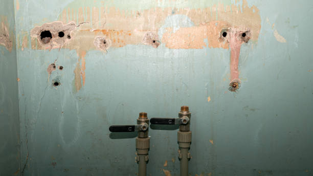 Best Mold removal after water damage  in Amherst, OH