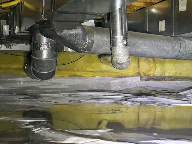 Best 24/7 water damage repair  in Amherst, OH
