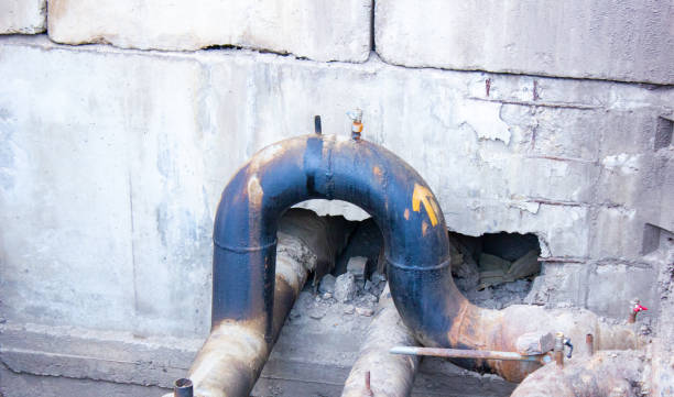 Best Water damage repair service  in Amherst, OH